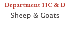 Department 11C & D Sheep & Goats