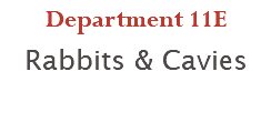 Department 11E Rabbits & Cavies