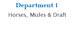 Department 1 Horses, Mules & Draft