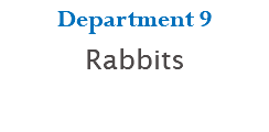 Department 9 Rabbits